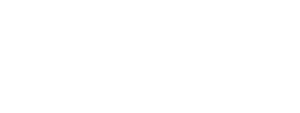 berryz Tee
